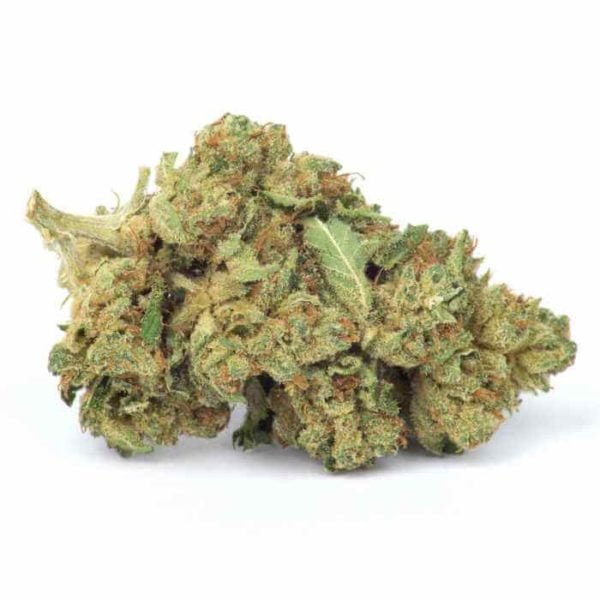 The Skywalker OG Strain
